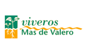 VIVEROS MAS DE VALERO, S.L.